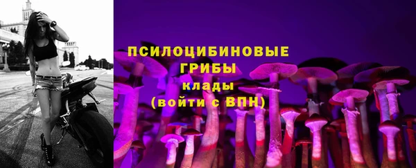 ALPHA PVP Заводоуковск