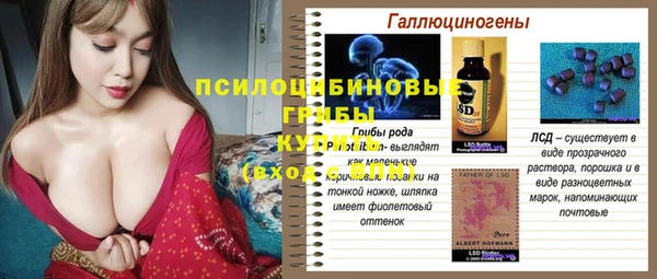 дживик Заволжье
