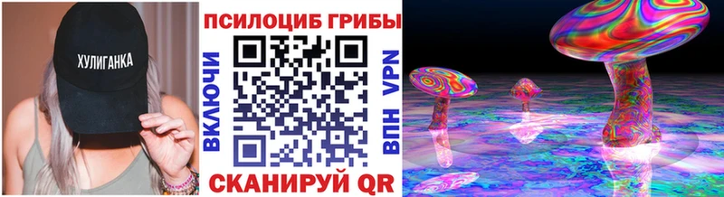 Купить  Гудермес  Псилоцибиновые грибы GOLDEN TEACHER 